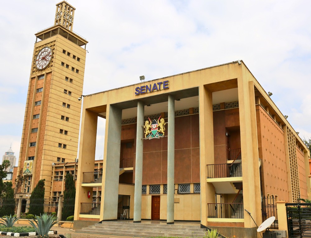 Parliament of Kenya, The Senate Public Entrance.