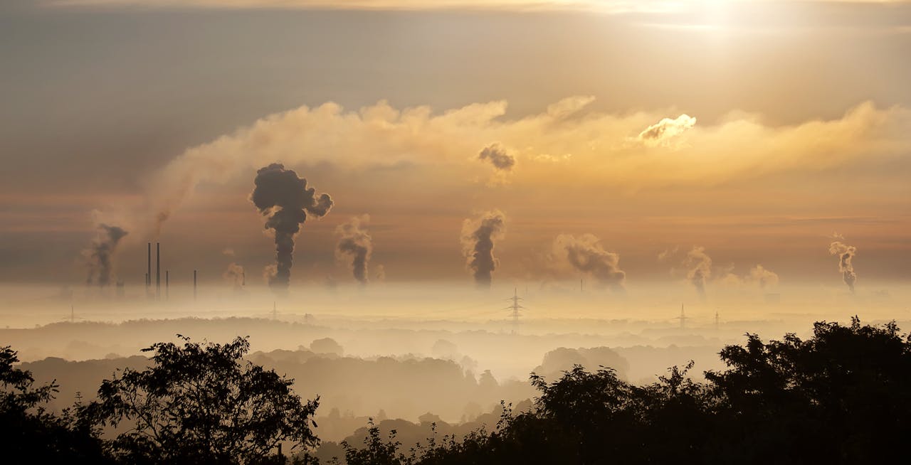 Silhouette of trees against a background of smoke from chimneys and sunset sky.