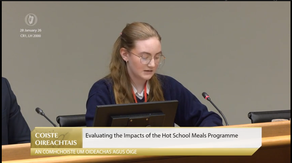 Spotlight on Public Engagement Practice: How the Oireachtas Education and Youth Committee Engages Young People
